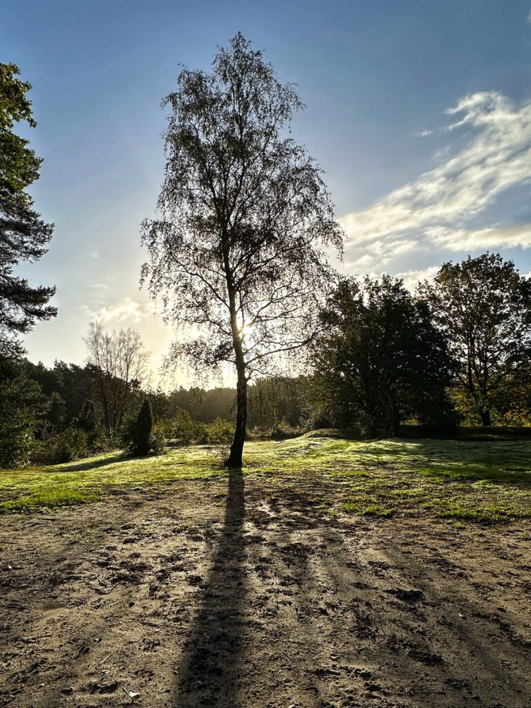 Foto Editie 54 (2024)