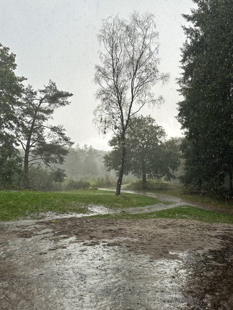 Foto Editie 54 (2024)